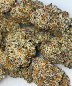 Lieutenant Runtz cannabis strain